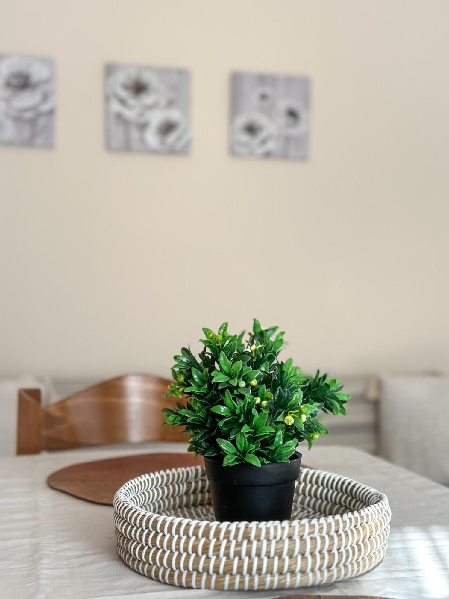 Apartment Ground